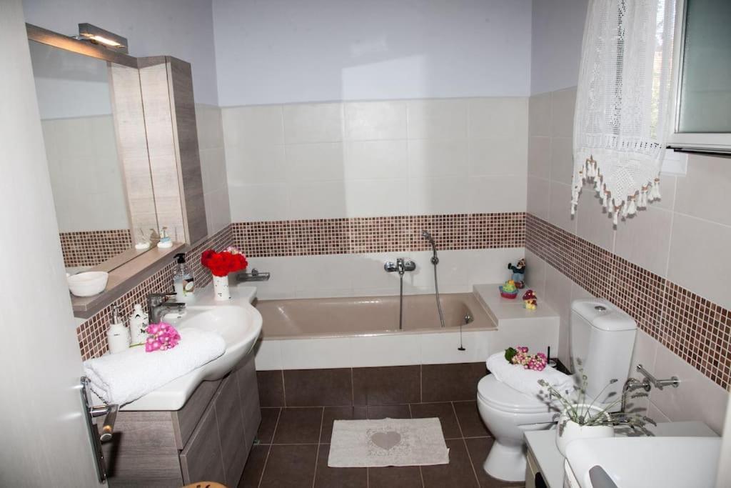 Irini's Traditional Kefalonian House Lixouri